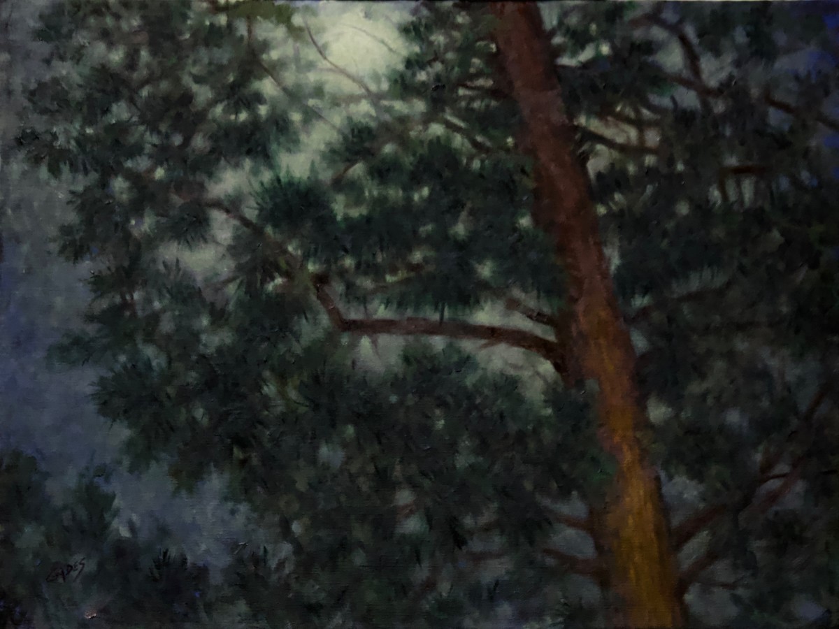 Moonlight Thru the Pines by Linda Eades Blackburn 