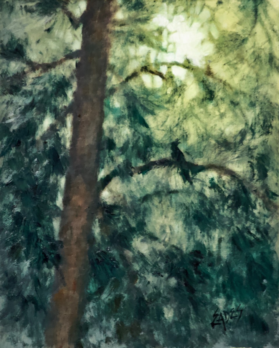 Moonlight Thru the Pines 2 by Linda Eades Blackburn 