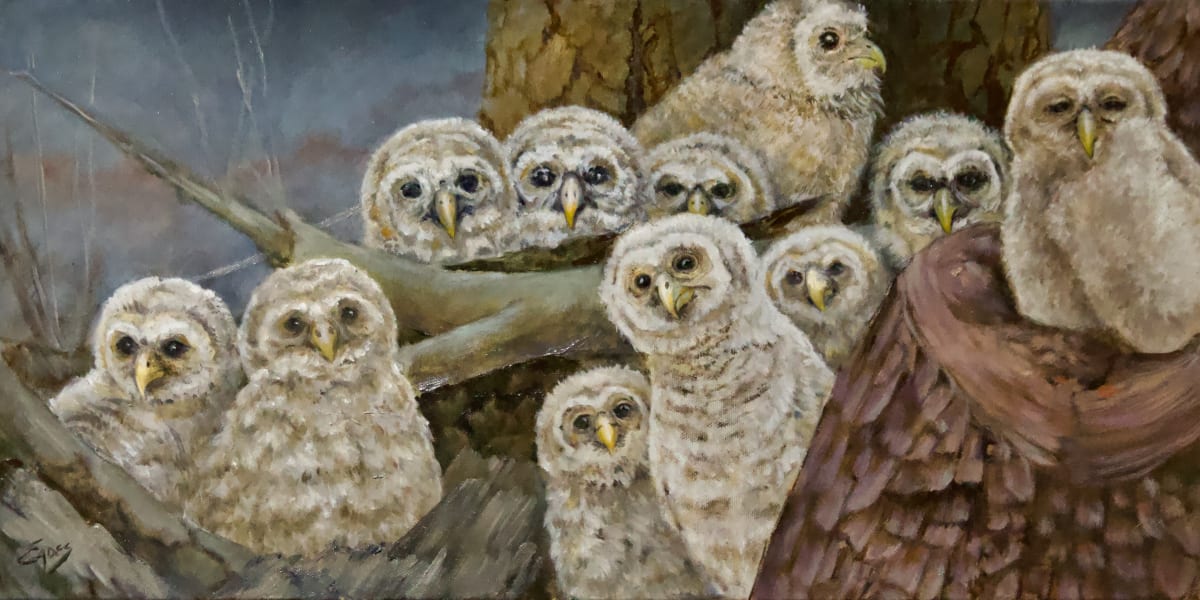 Owlets by Linda Eades Blackburn 