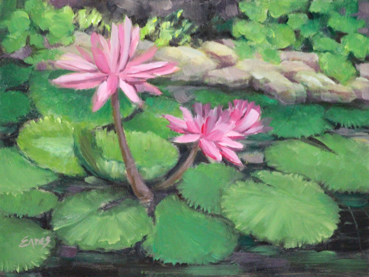 Pink Lotus by Linda Eades Blackburn 