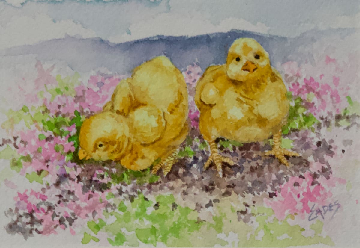 Spring Chicks 