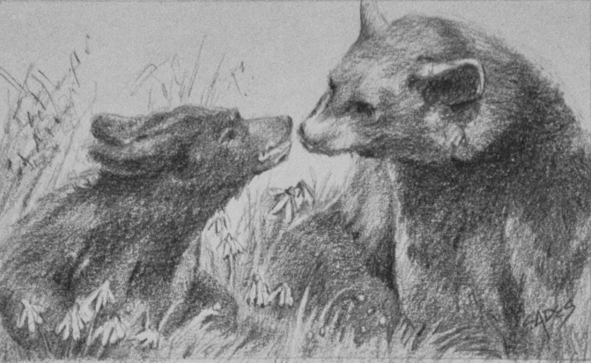 Spring Play Graphite by Linda Eades Blackburn 