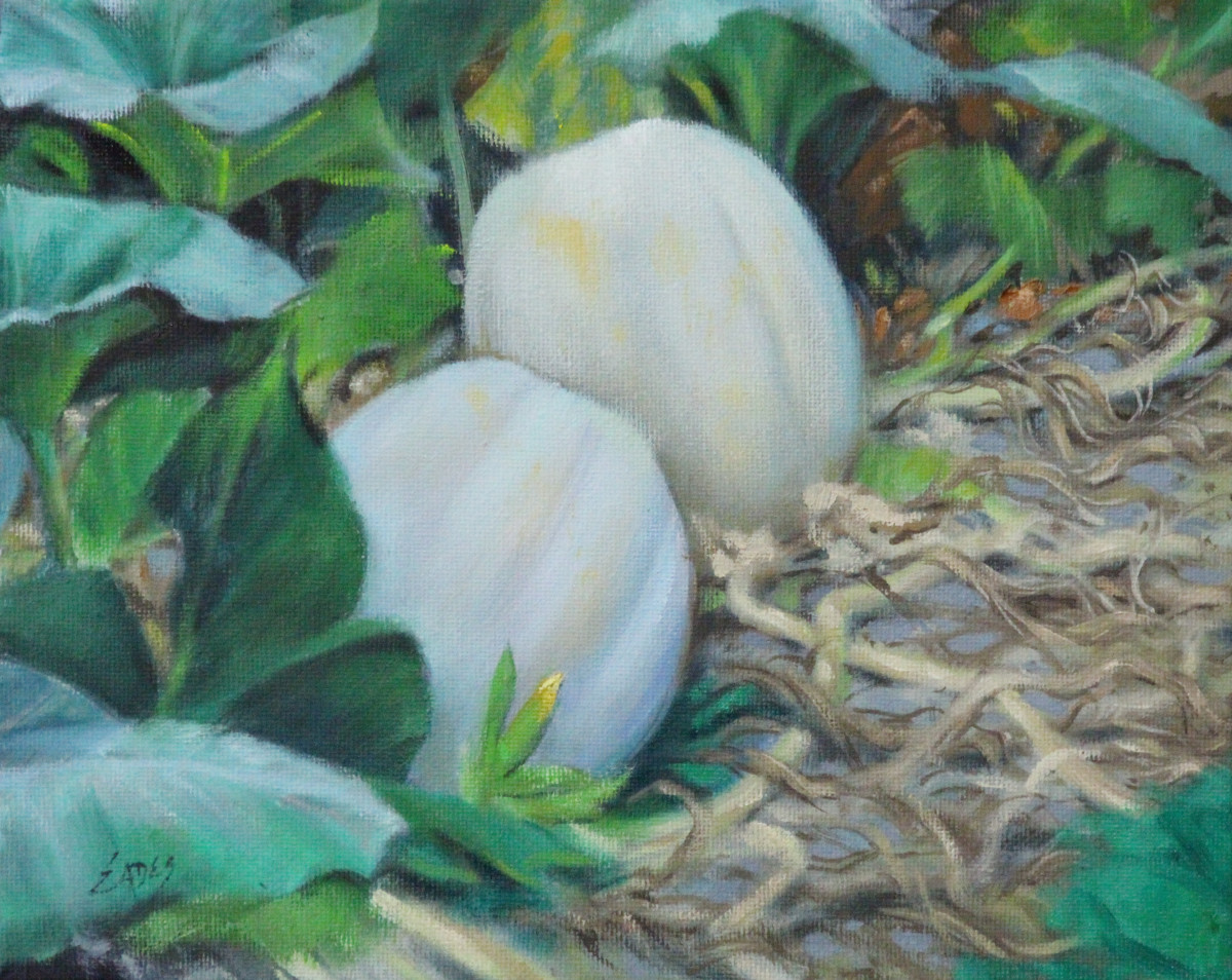 White Pumpkins in the Patch by Linda Eades Blackburn 