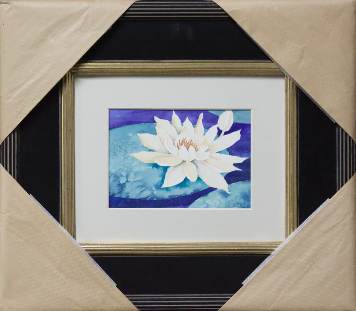 Wonderful Waterlily 