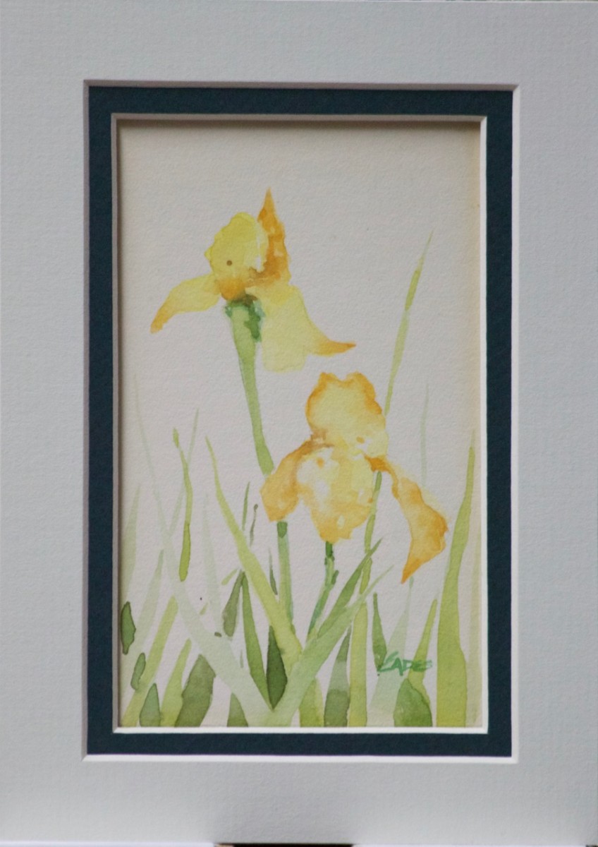 Yellow Iris by Linda Eades Blackburn 
