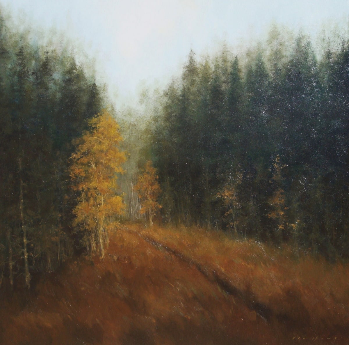 A Tranquil Moment by Tim Howe 