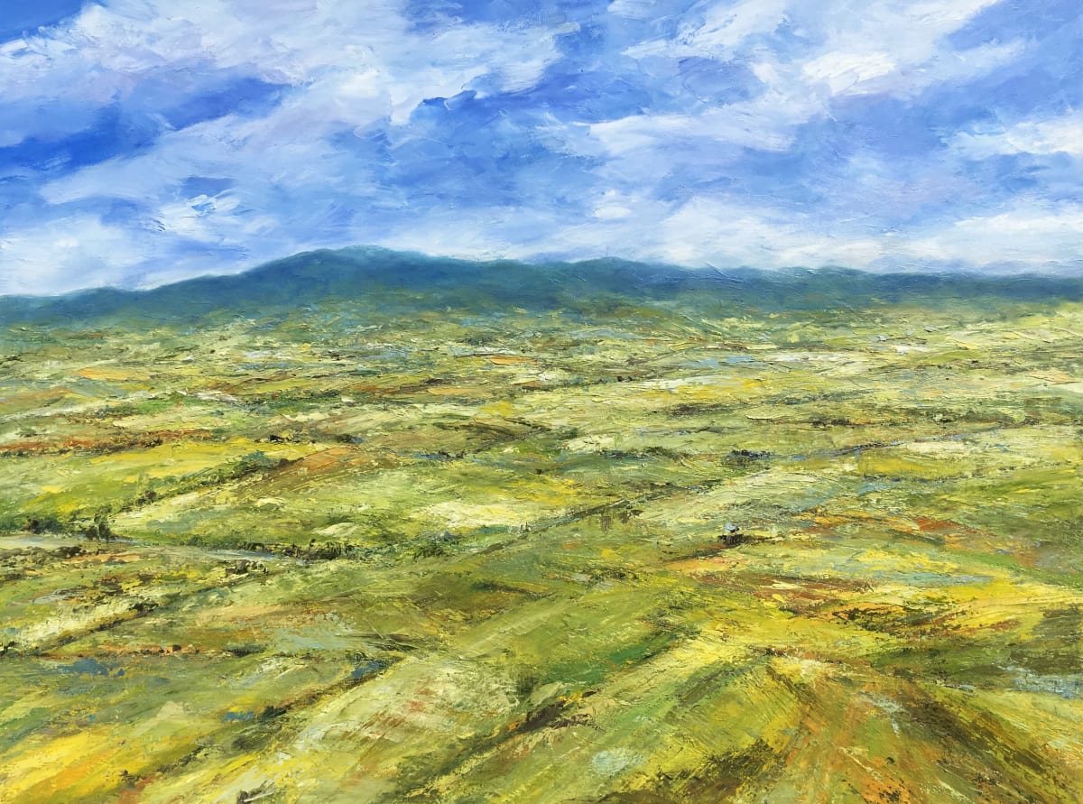 A Valley Vista by Tim Howe 