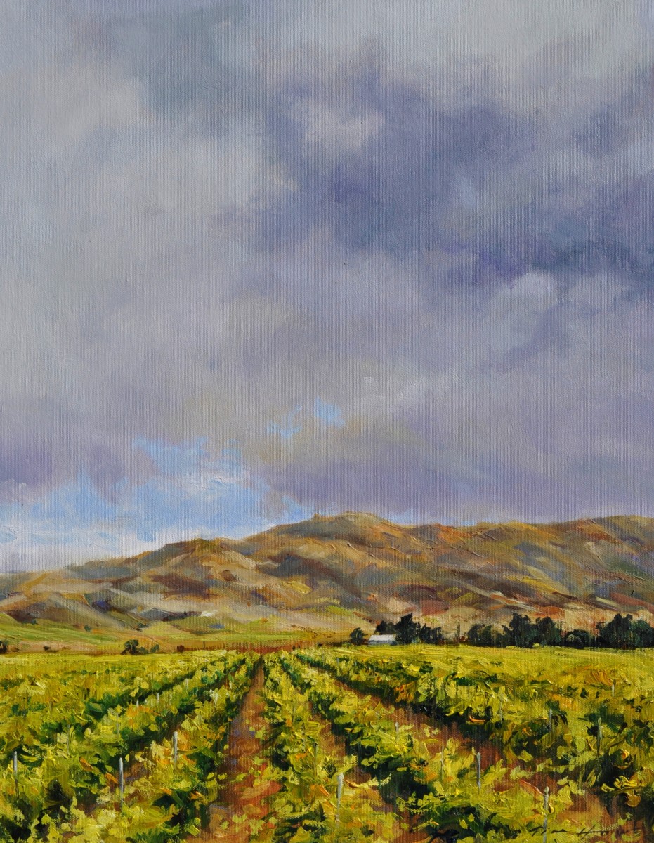 The Vineyards Of Spring by Tim Howe 
