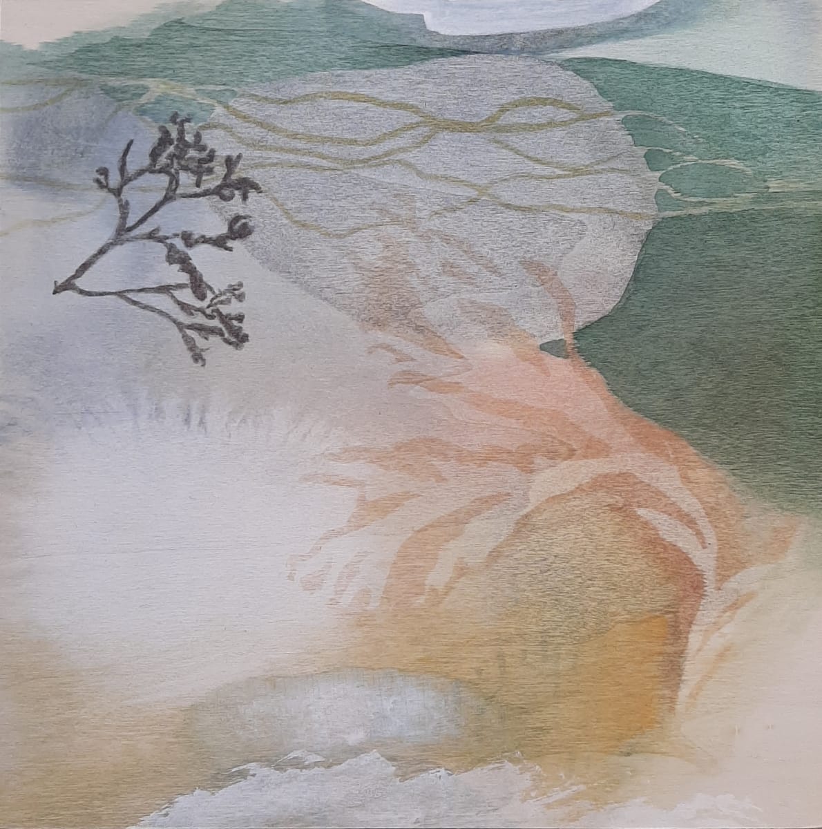 Cocoon by Tara Leaver  Image: Cocoon