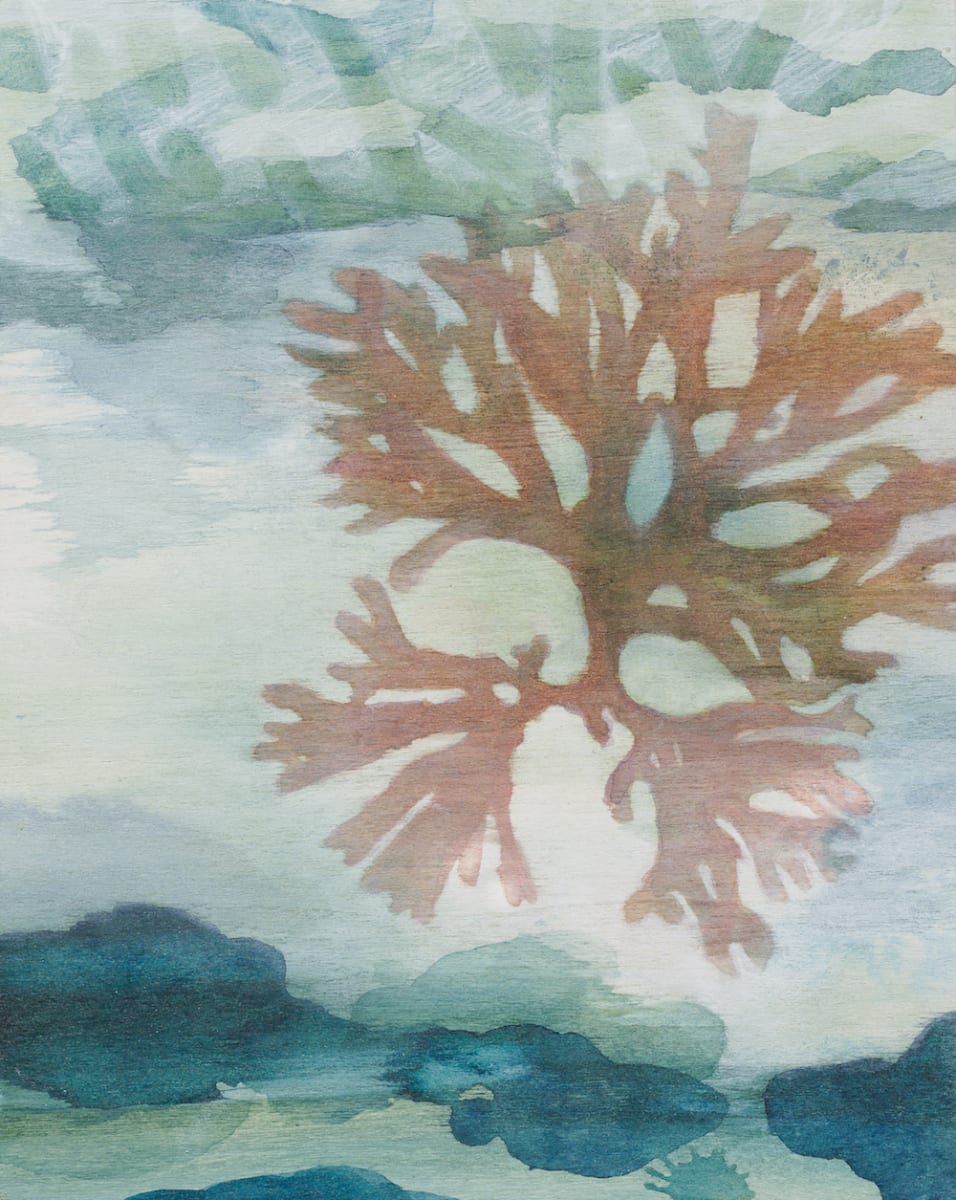 Float by Tara Leaver, Image 1.