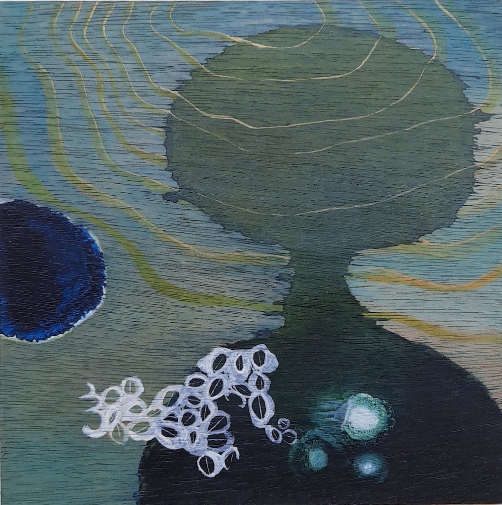 Tiny Universe, Image 2.
