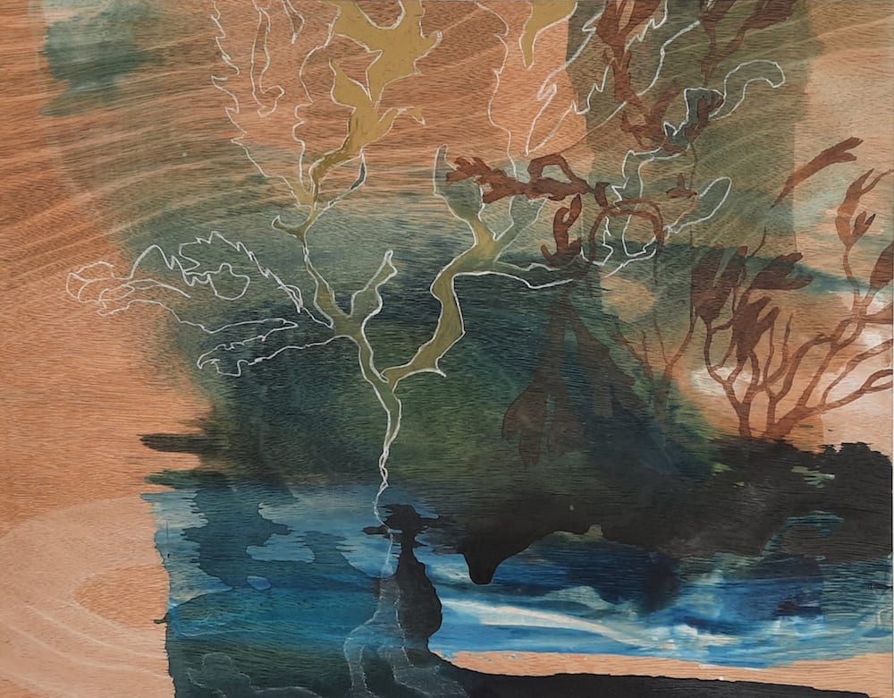 Deep in the Shallows by Tara Leaver 