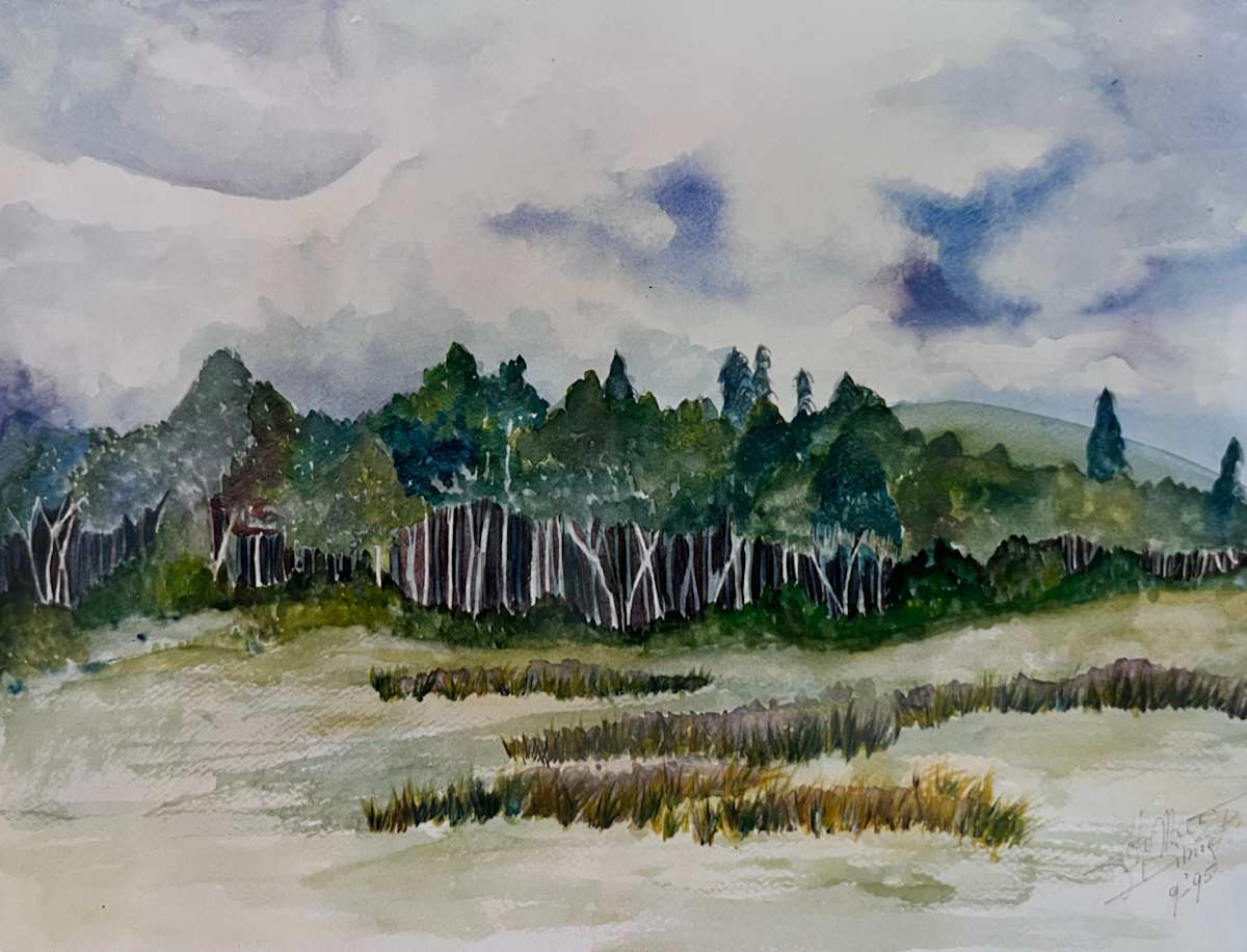 Bosrand by Joke Meeüse - DIMORF, Image 1.