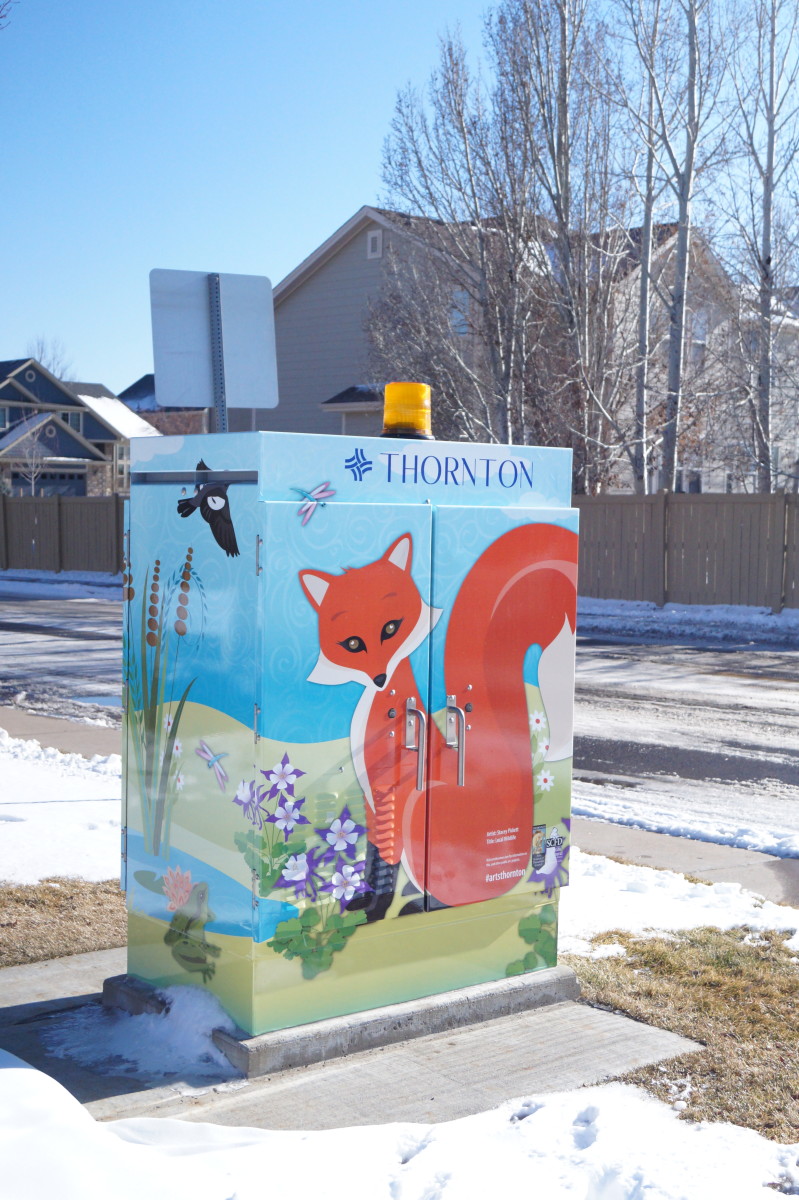 Local Wildlife by Stacey  Pickett 