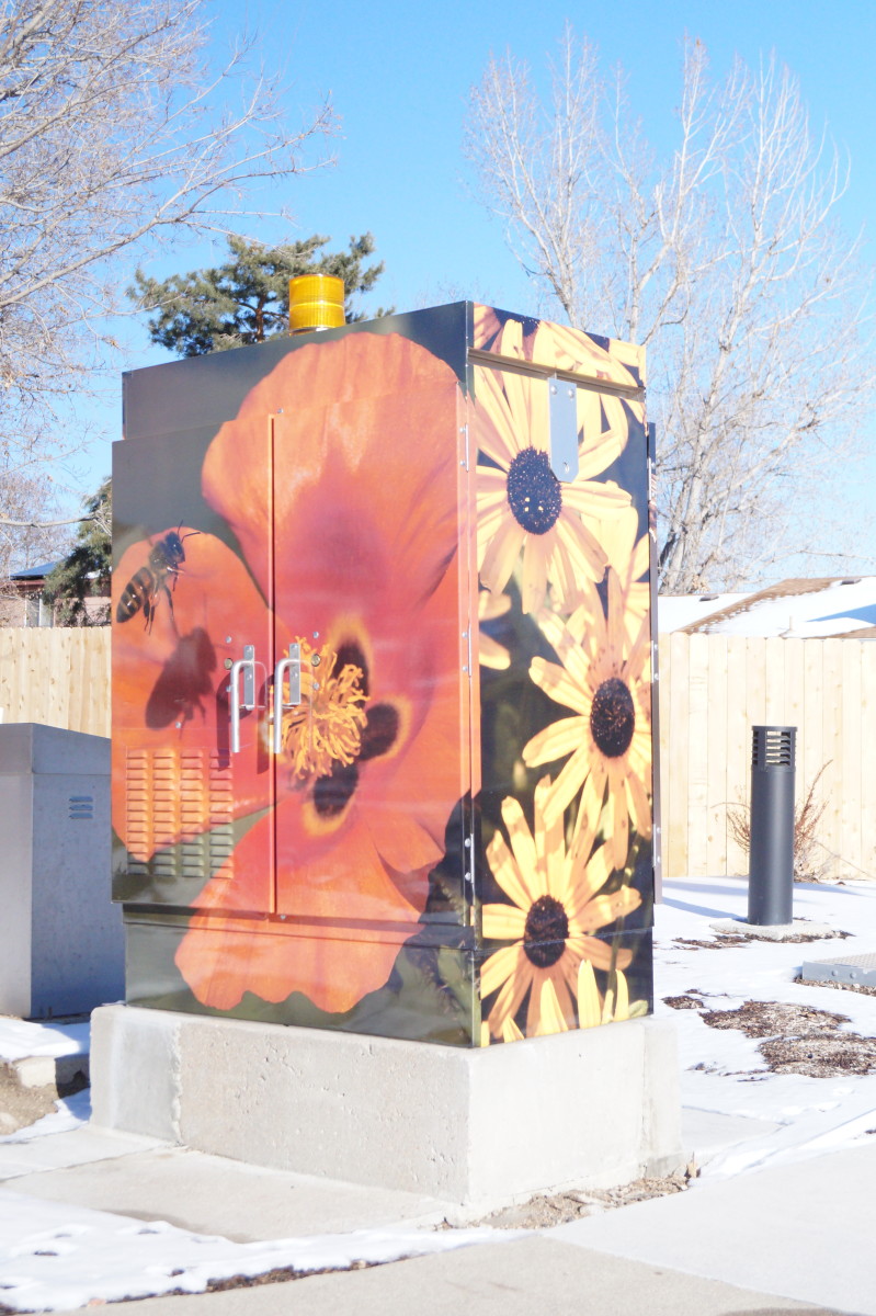 Bees, Butterflies, Flowers by Scott Redmond 