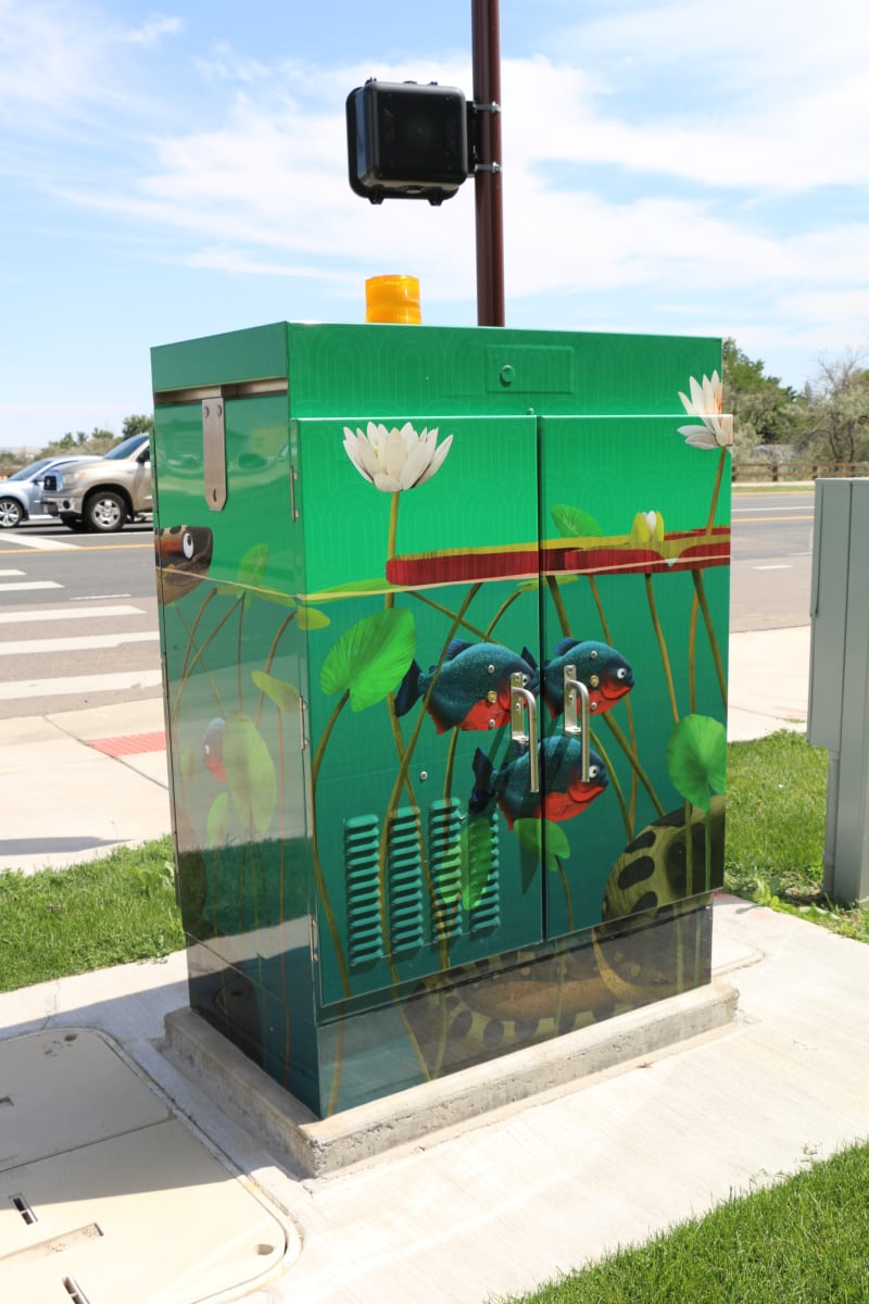 Amazonia by Kyle Cody 