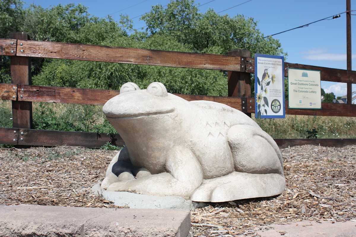 Turtle, Frog, Fish Playground - 2007, Image 2.