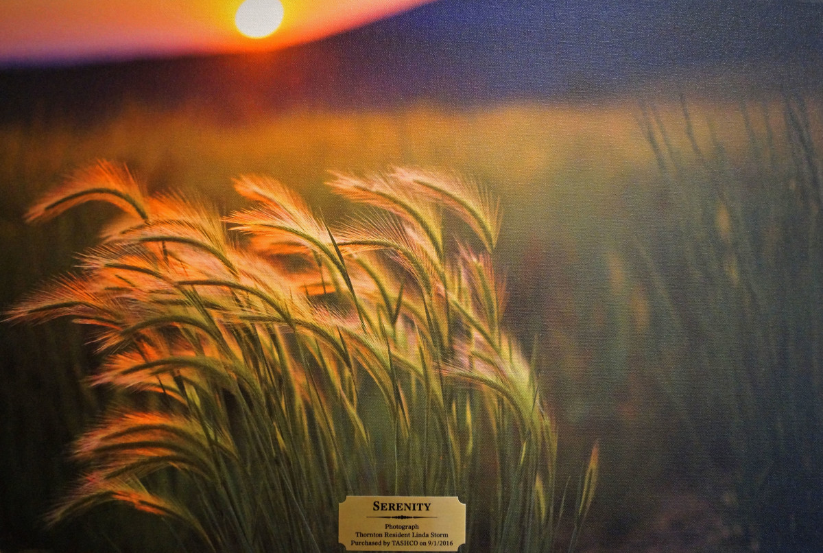 Serenity by Linda Storm 