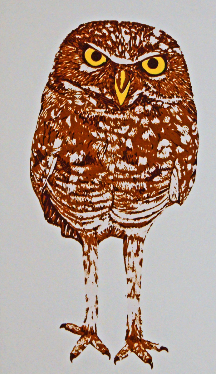 Burrowing Owl by Jennie Noreen 