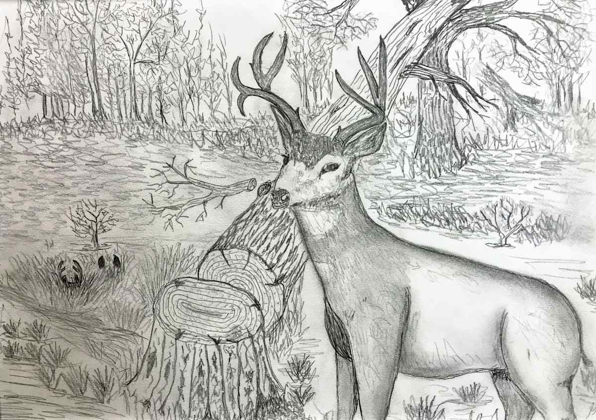 Untitled Drawing by George Horgan, Image 2.