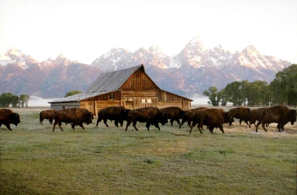 Grand Tetons, Wyoming by David Koski, Image 1.