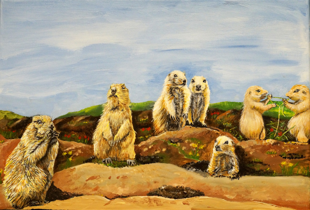 Dog and His Day by Gail Marchetti 