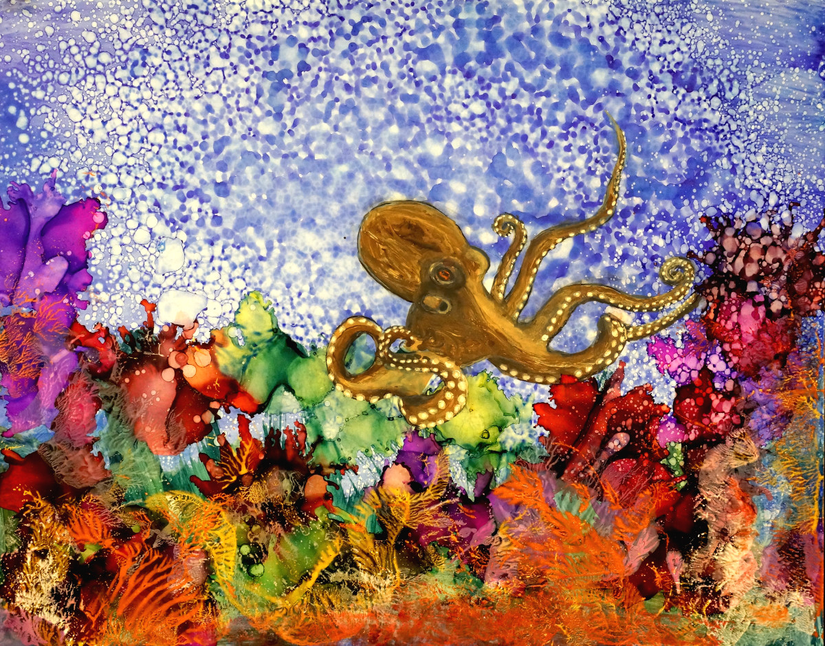 Octopus Reef by Christine Jarvis 