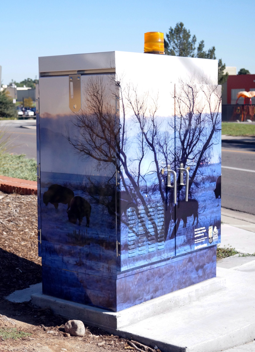 Buffalo at Twilight by Lisa Martinez 