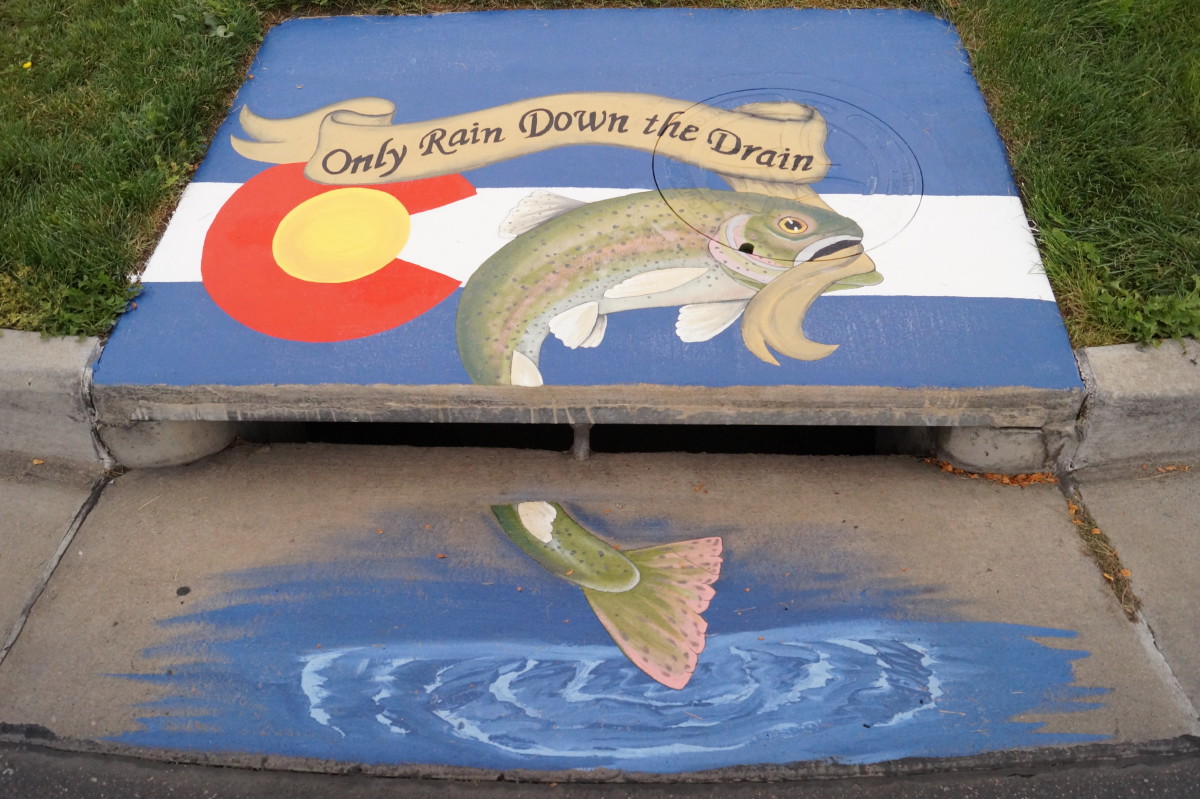 Only Rain Down the Drain by Laura  Thomas 