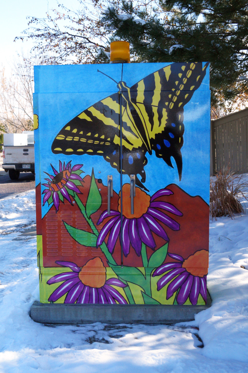 Colorado Flowers and Pollinators by Leslie Gwynn 