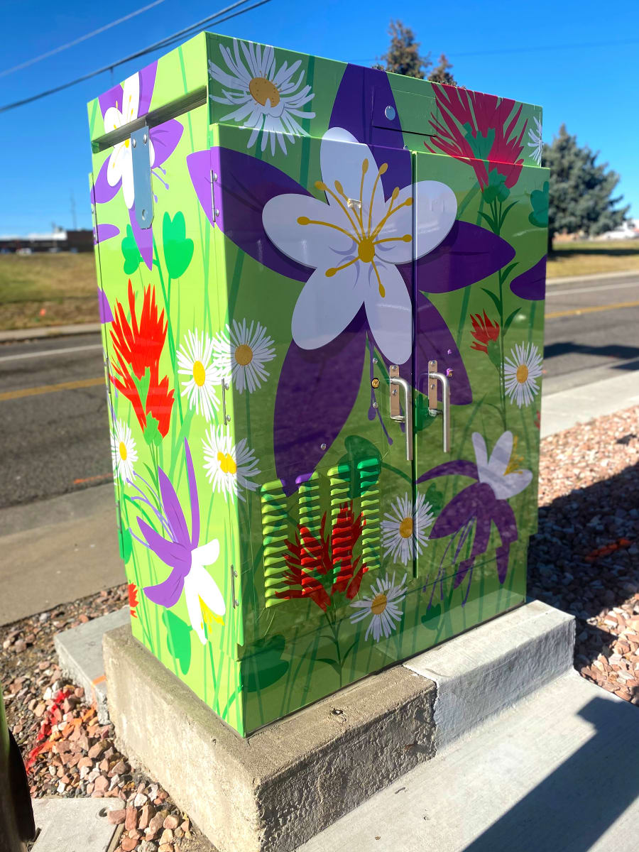 Colorado Wildflowers by Becky  Hawley 