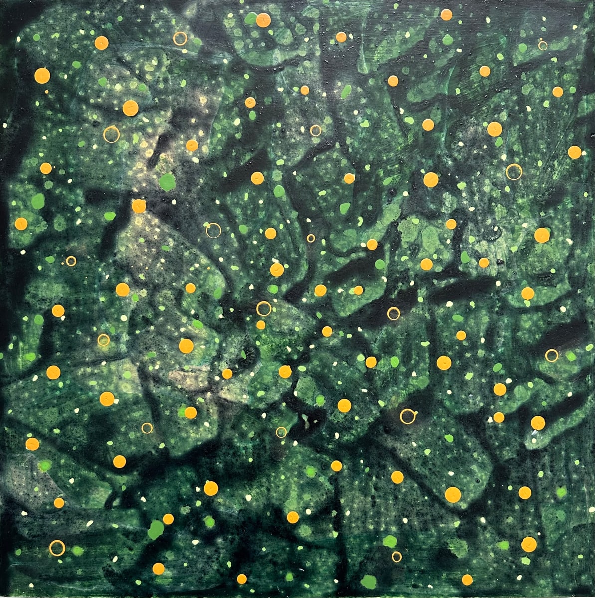 BACK TO THE ROOTS by Richard Bruce 