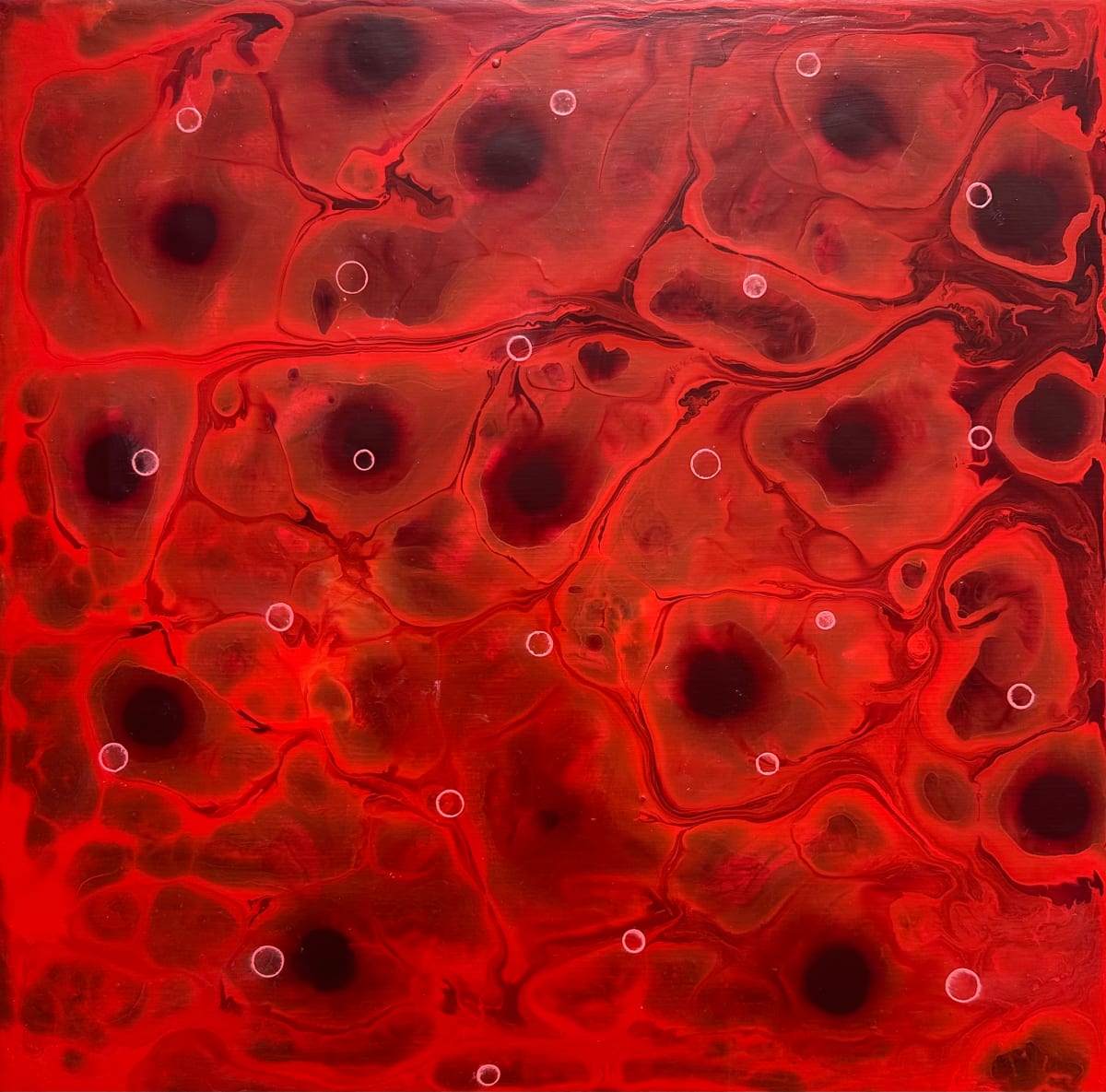 REDBIRD by Richard Bruce 