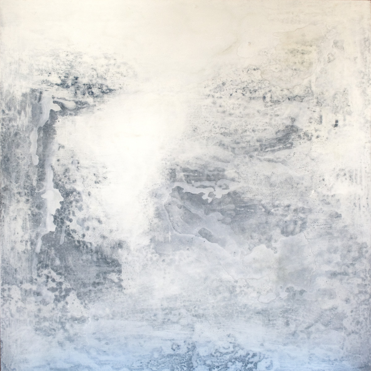 BEAUTIFUL CALM DIVER by Richard Bruce 