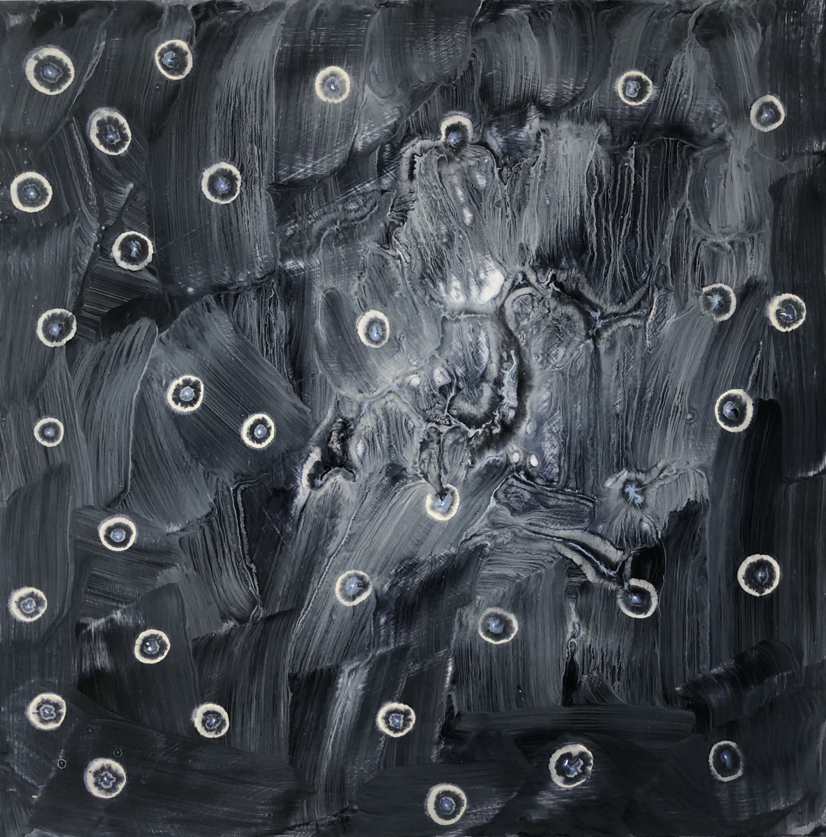 BLACKBIRD by Richard Bruce 