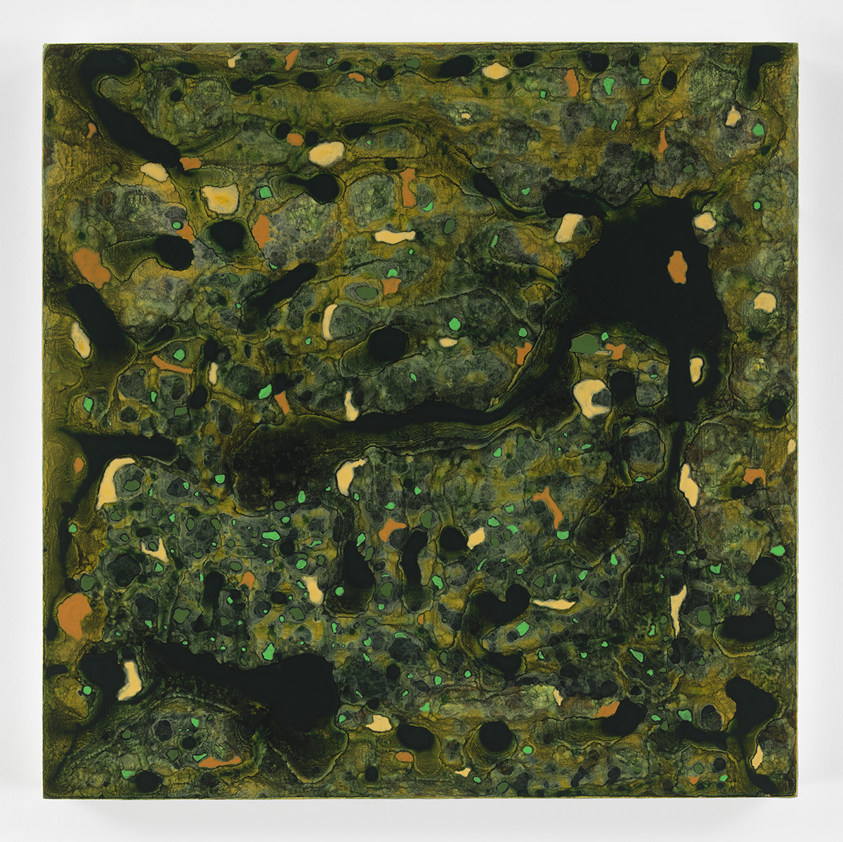 BEIJA FLOR by Richard Bruce 