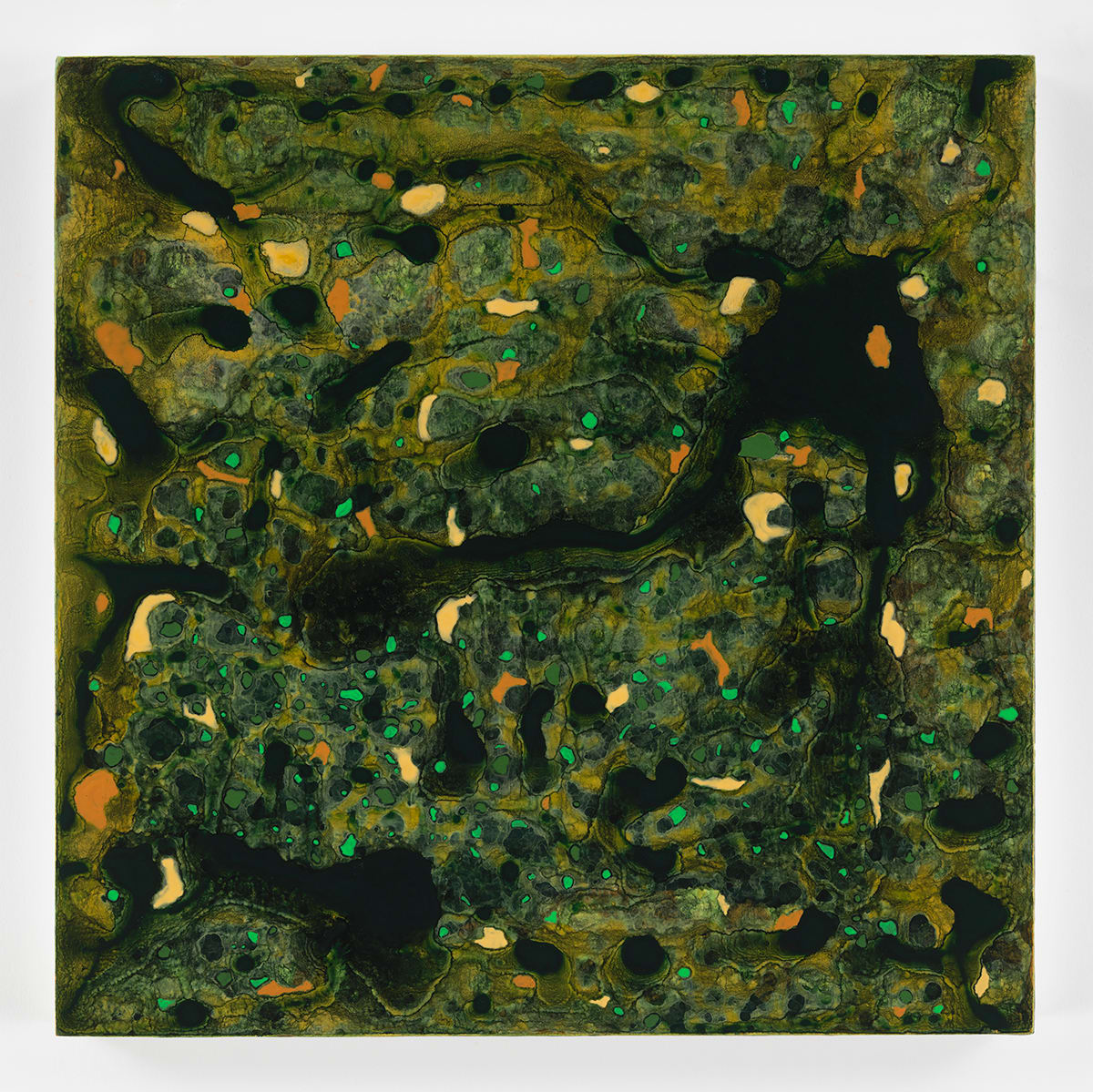 BEIJA FLOR by Richard Bruce, Image 1.