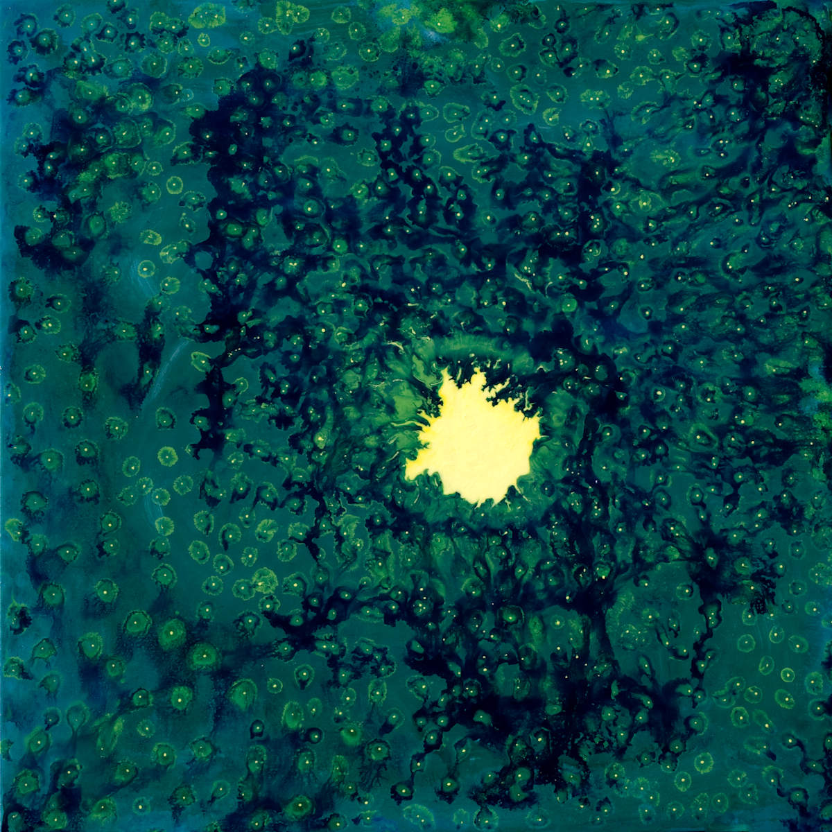 BLISS by Richard Bruce, Image 1.