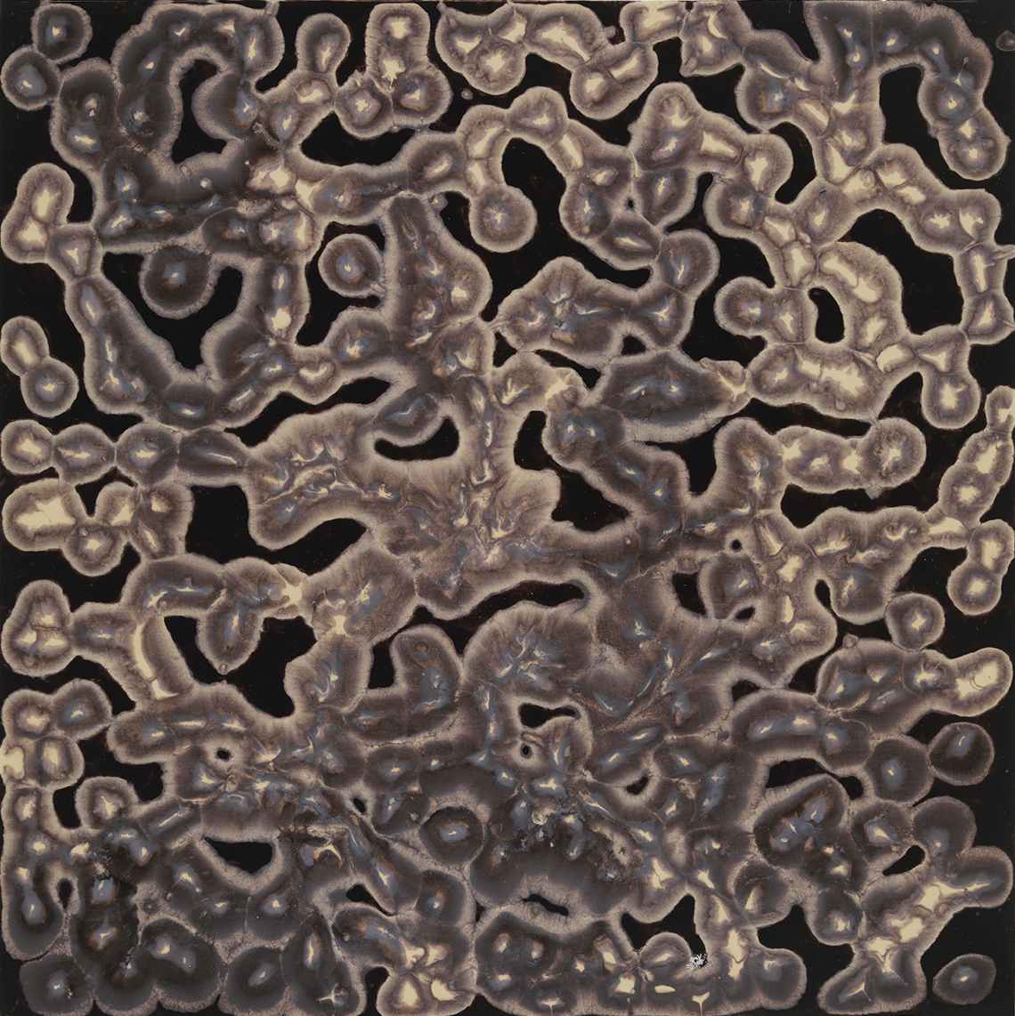 CELL THERAPY by Richard Bruce, Image 1.