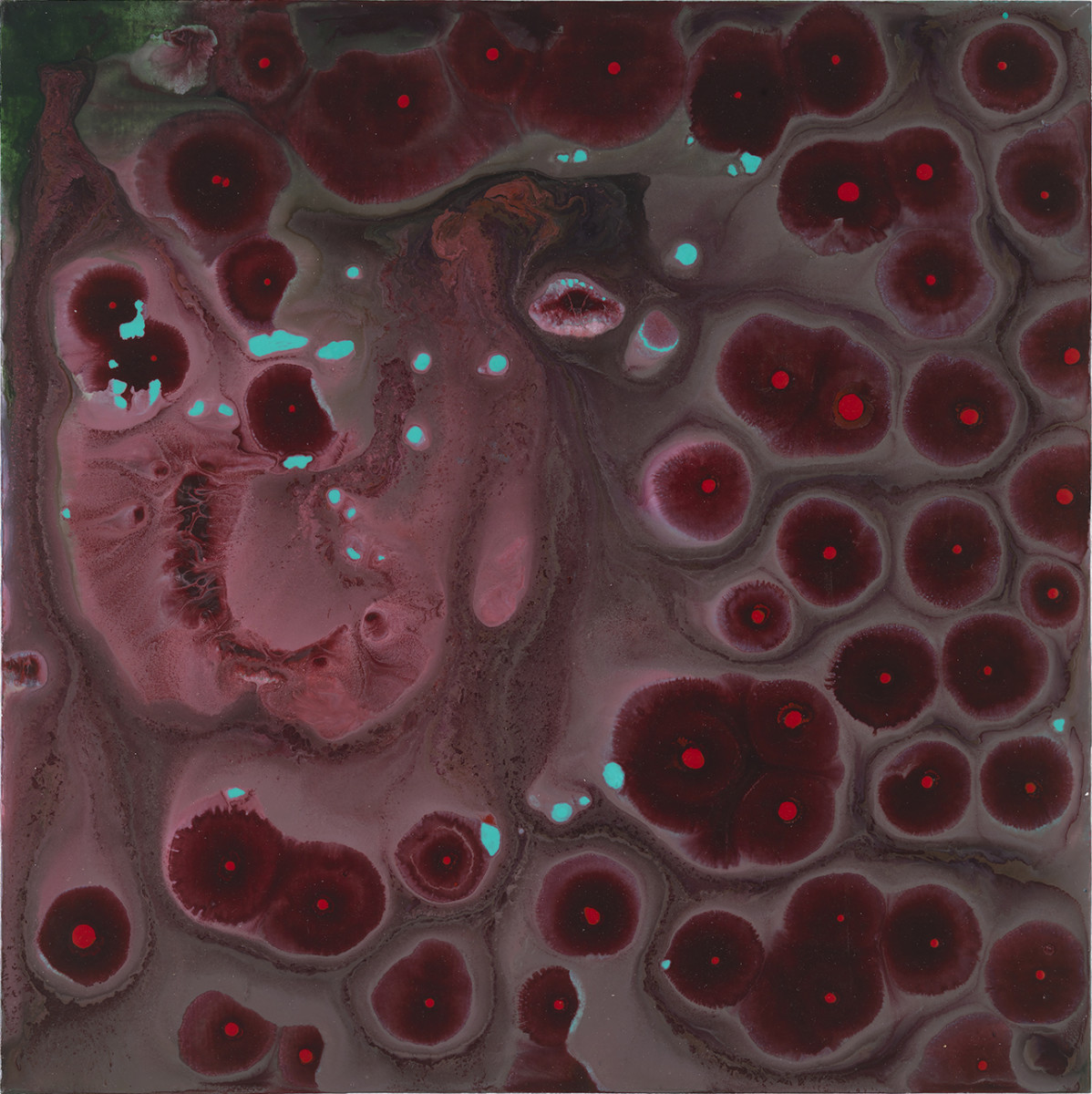 COREOPSIS by Richard Bruce 