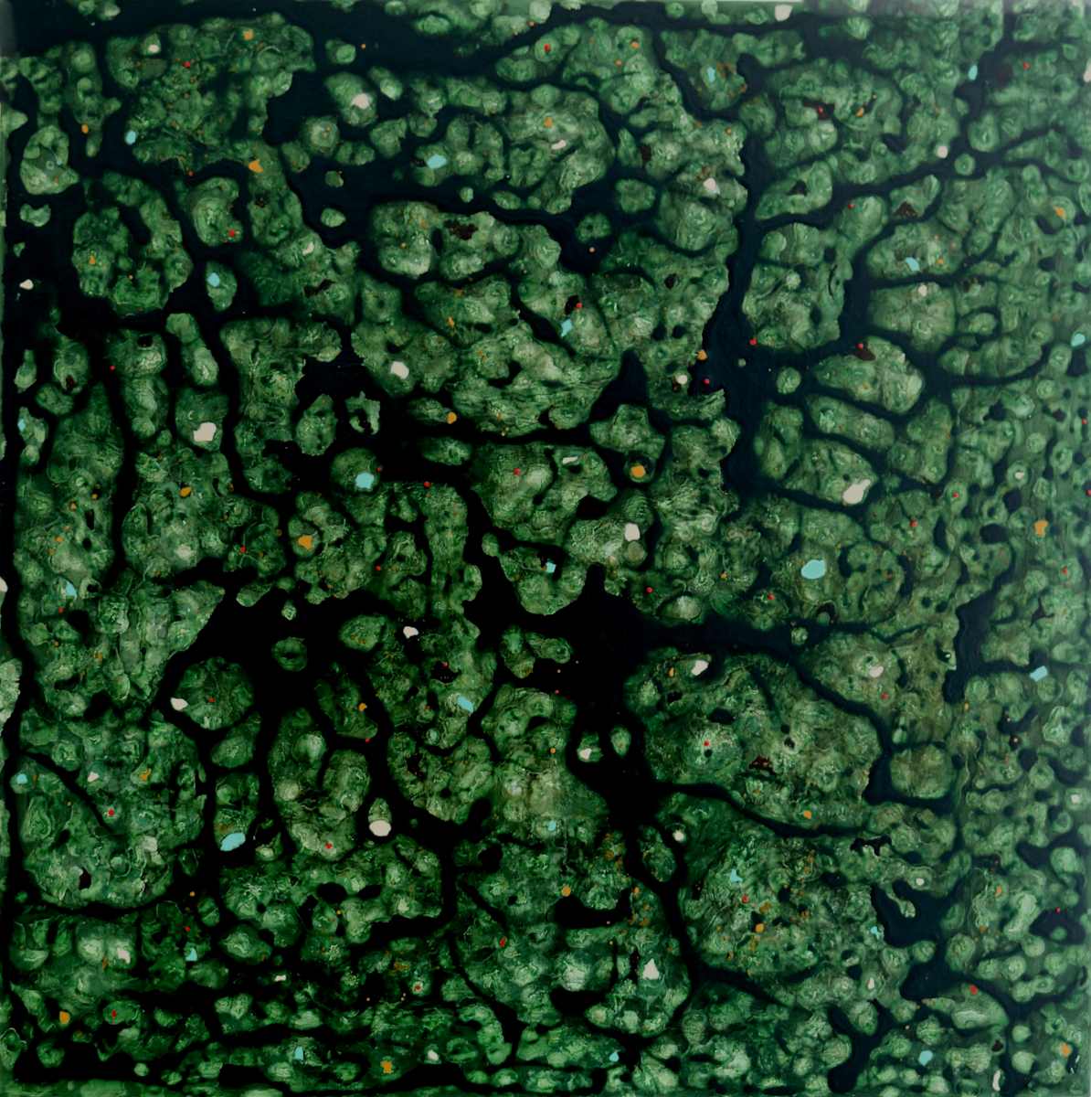 FAMILY TREE by Richard Bruce, Image 1.