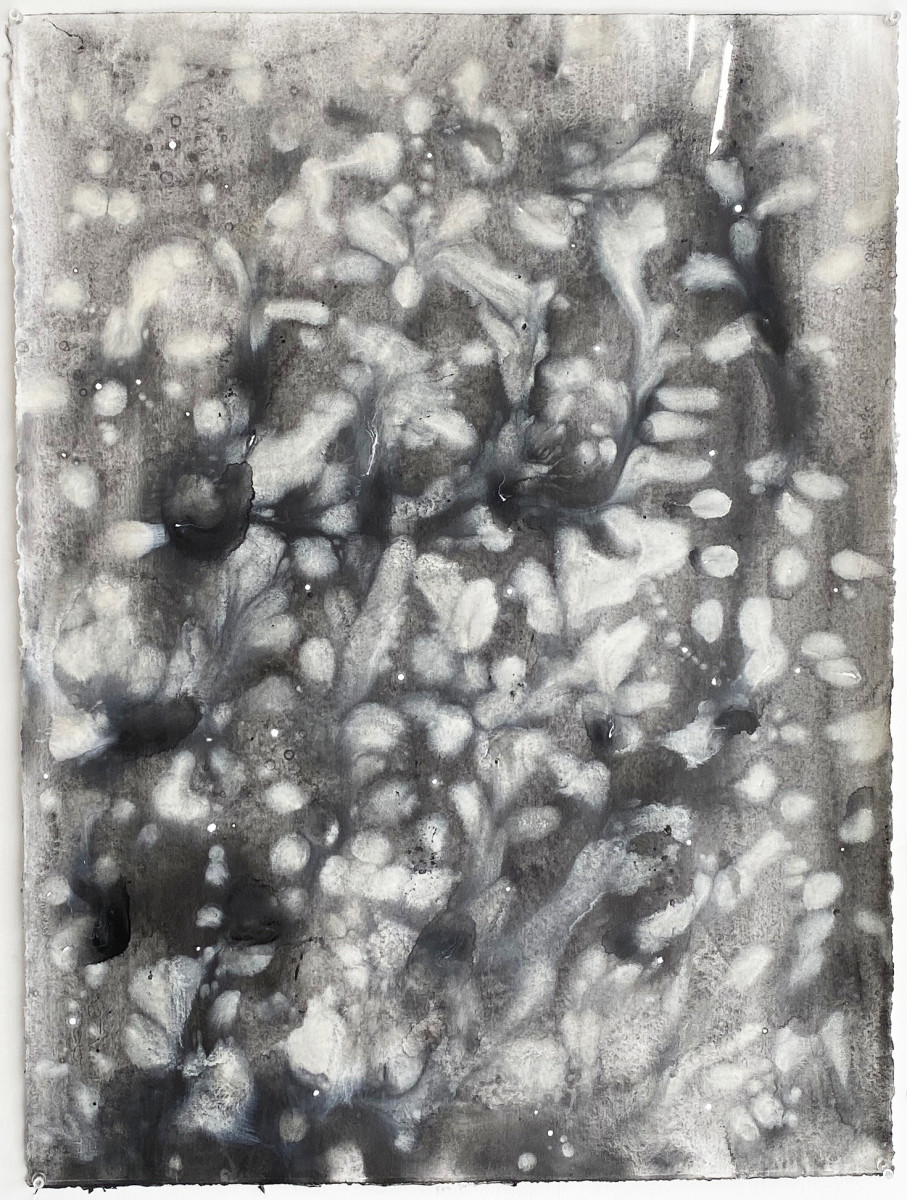 FEE DANSEUR by Richard Bruce 