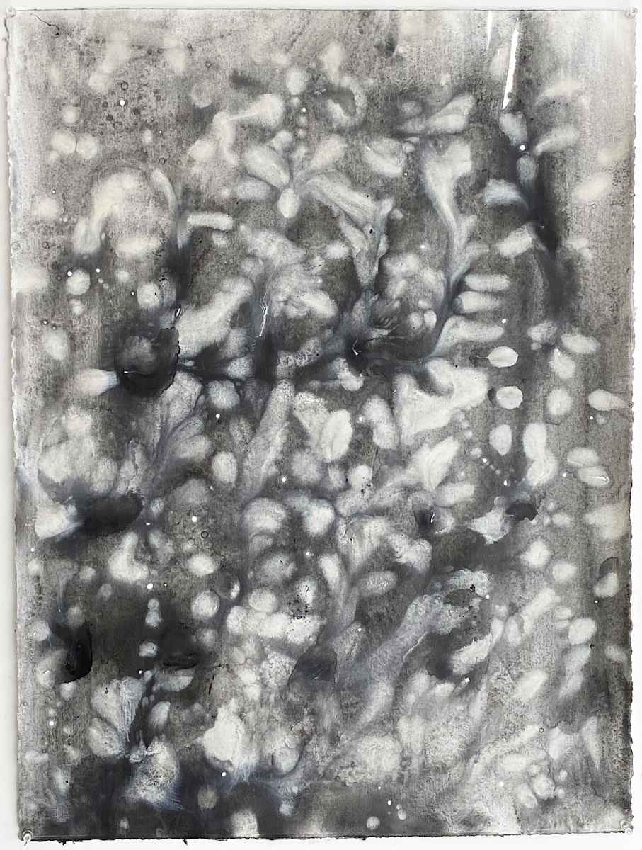 FEE DANSEUR by Richard Bruce, Image 1.