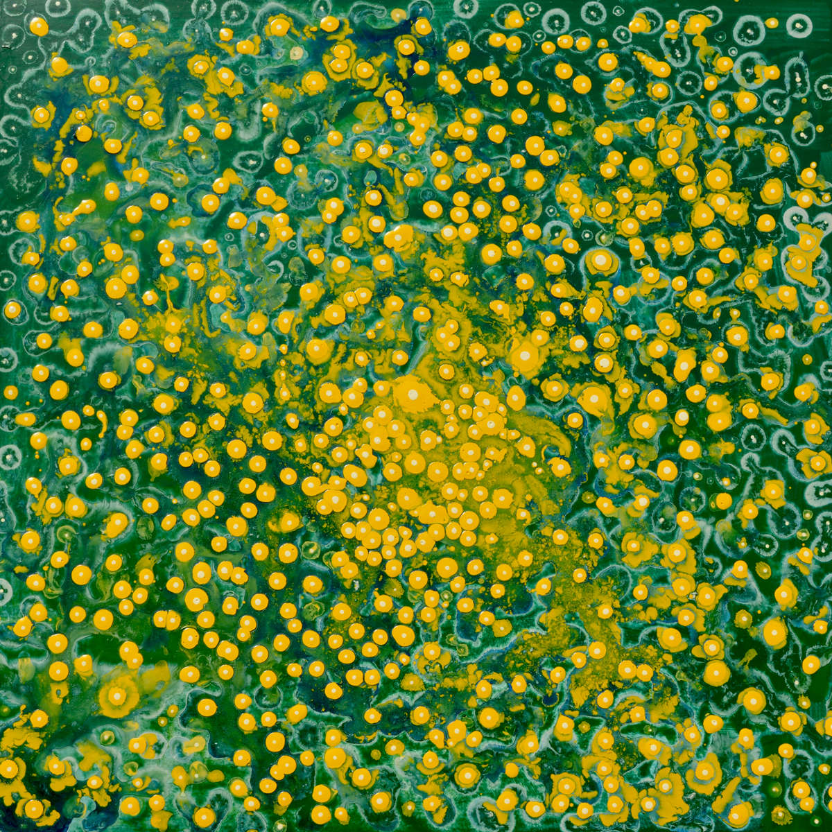 GARDEN by Richard Bruce, Image 1.
