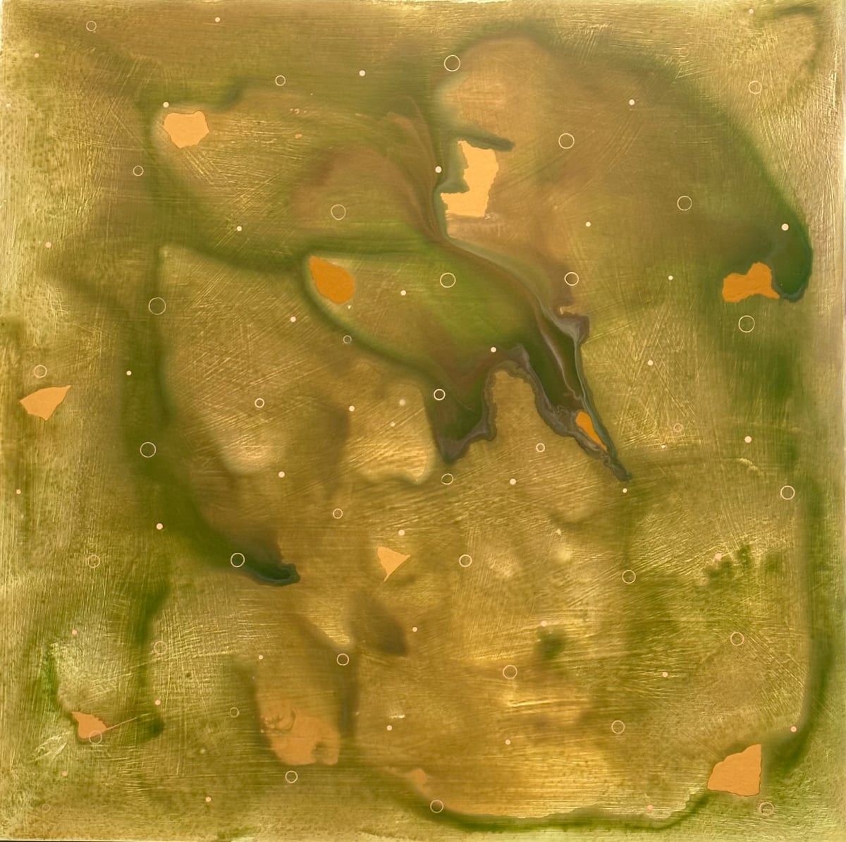 DOVE by Richard Bruce 