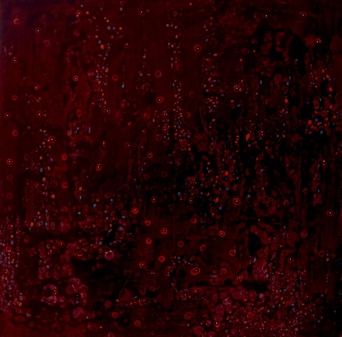 I WILL ASSUME FORM by Richard Bruce 