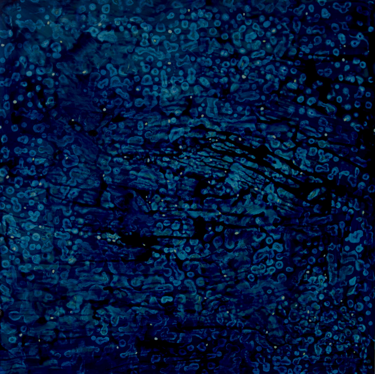 MIDNIGHT BLUE by Richard Bruce 