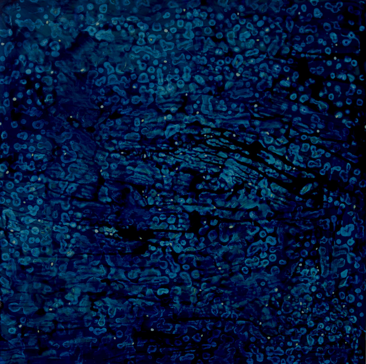 MIDNIGHT BLUE by Richard Bruce, Image 1.
