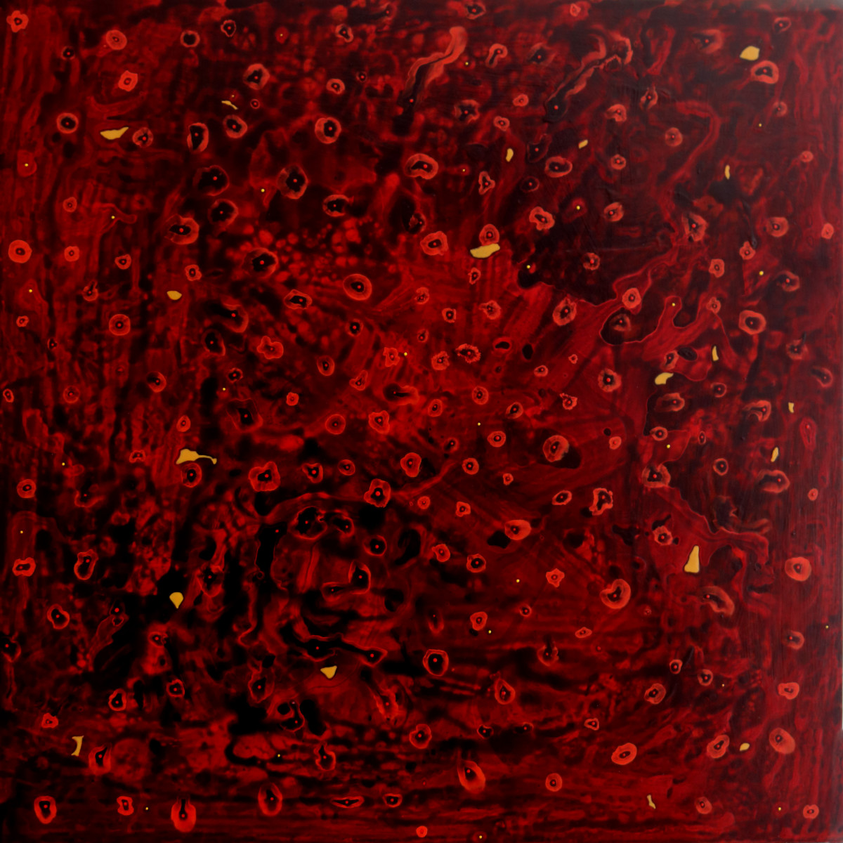 MISUNDERSTANDING by Richard Bruce 