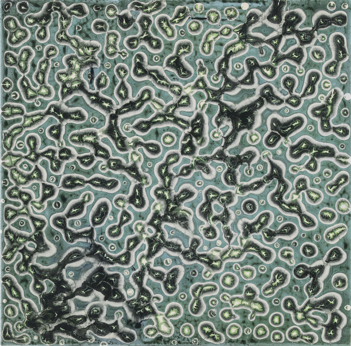 NATURE'S WAY by Richard Bruce 